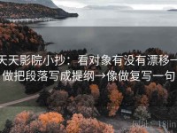 天天影院小抄：看对象有没有漂移→做把段落写成提纲→像做复写一句
