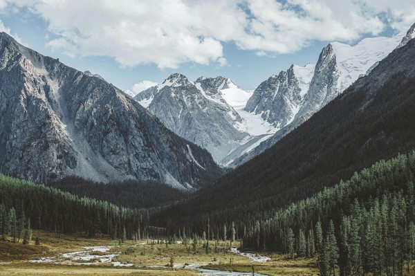 推特读前先打标：先看标题是不是先给答案，再把对象写具体（一眼就能定位）