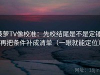 菠萝TV像校准：先校结尾是不是定锤，再把条件补成清单（一眼就能定位）