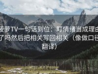 菠萝TV一句话到位：盯情绪当成理由了吗然后把相关写回相关（像做口径翻译）